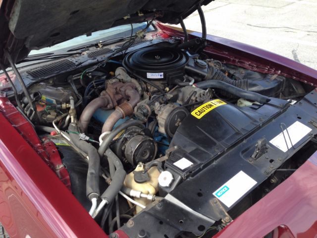 1981 Pontiac Firebird - photo 10