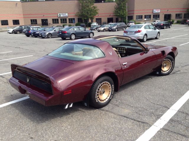 1981 Pontiac Firebird - photo 5