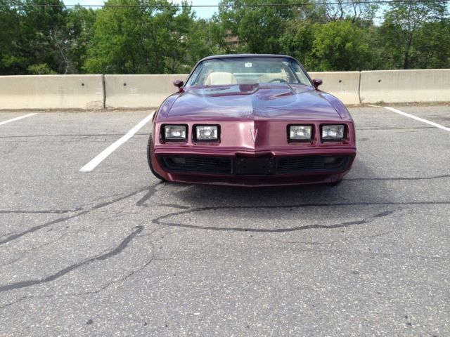 1981 Pontiac Firebird - photo 7