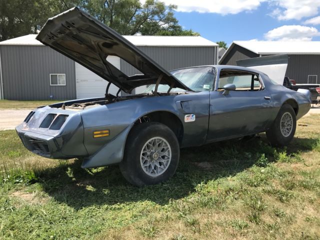 1981 Pontiac Trans Am - photo 2