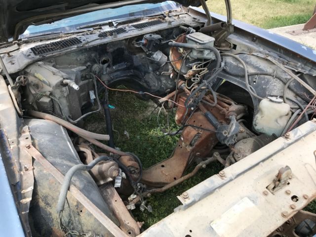 1981 Pontiac Trans Am - photo 3