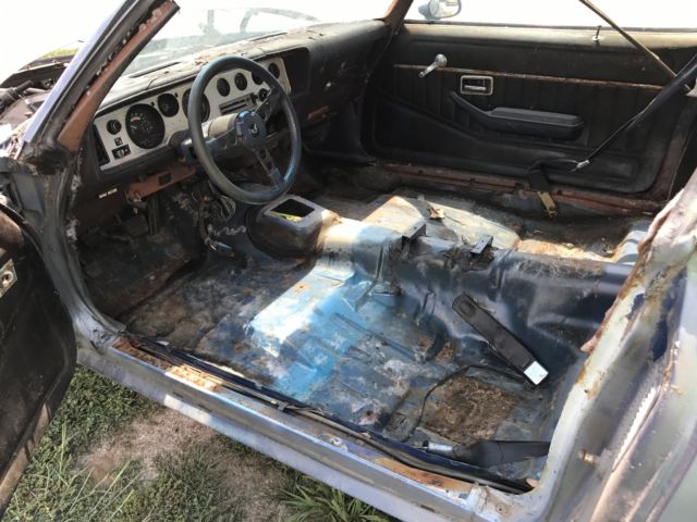 1981 Pontiac Trans Am - photo 5