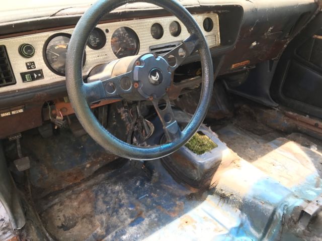 1981 Pontiac Trans Am - photo 7