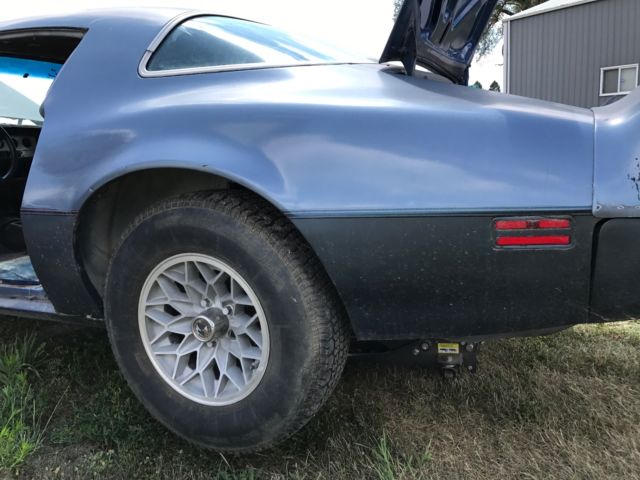 1981 Pontiac Trans Am - photo 9