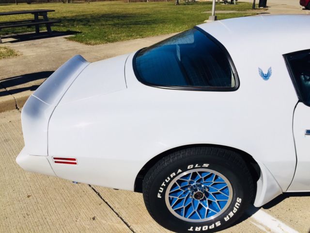 1981 Pontiac Firebird Trans-Am - photo 8