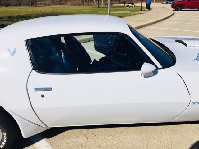 1981 Pontiac Firebird Trans-Am - photo 9