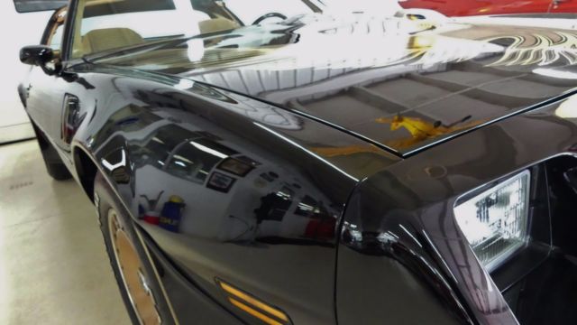 1981 Pontiac Firebird Trans Am - photo 10