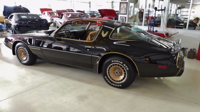 1981 Pontiac Firebird Trans Am - photo 12