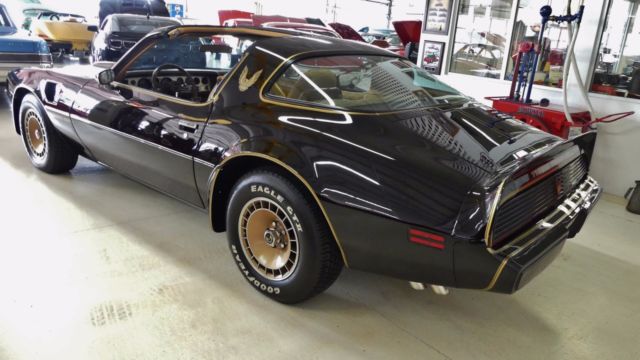 1981 Pontiac Firebird Trans Am - photo 13