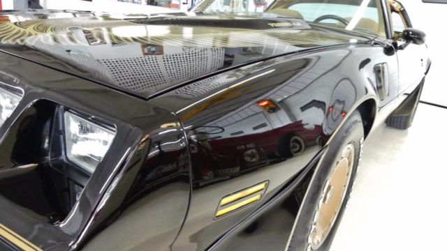 1981 Pontiac Firebird Trans Am - photo 9