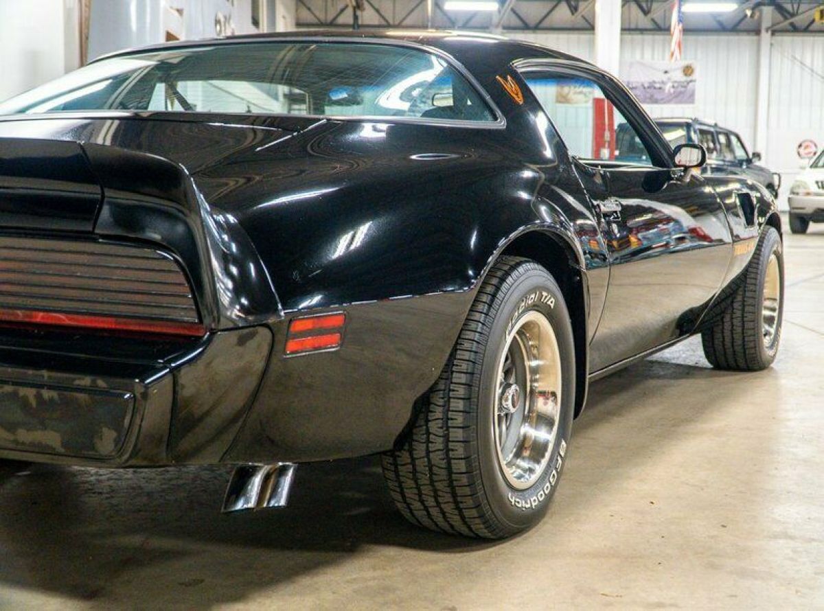1981 Pontiac Firebird Trans Am - photo 11