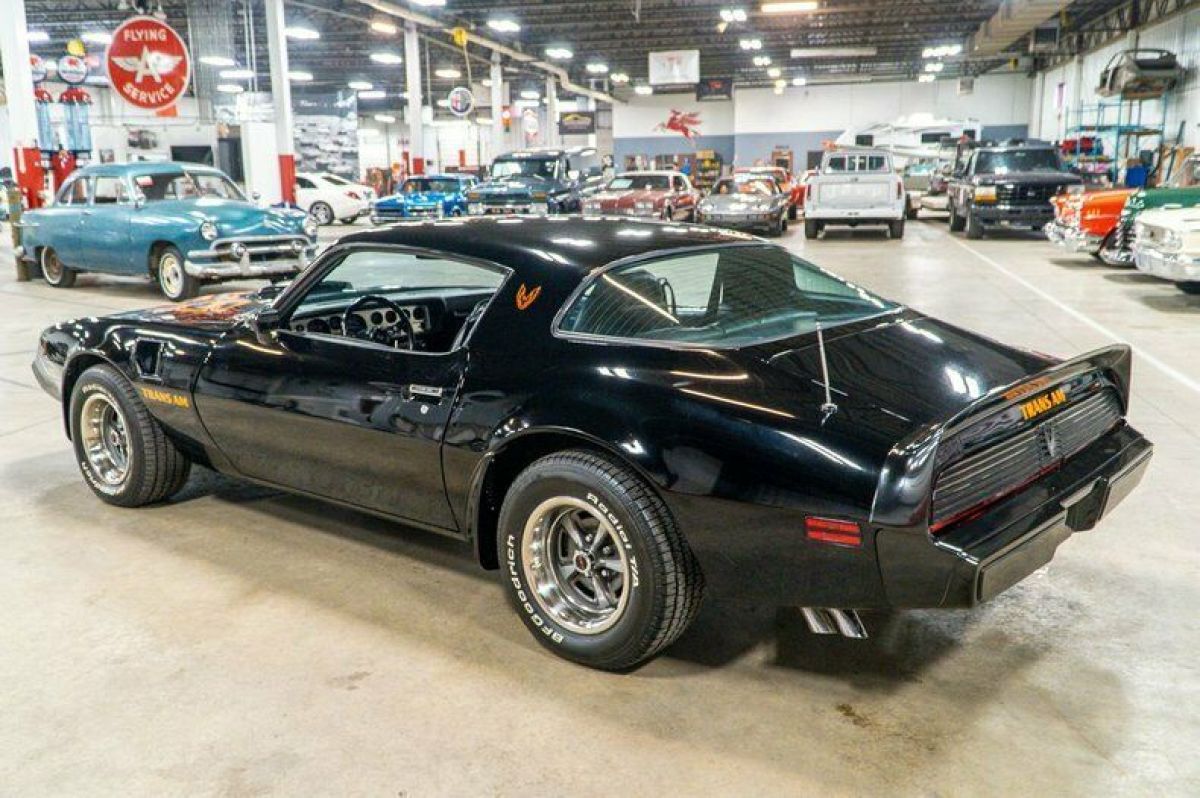 1981 Pontiac Firebird Trans Am - photo 3
