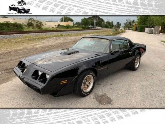 1981 Pontiac Firebird Trans Am