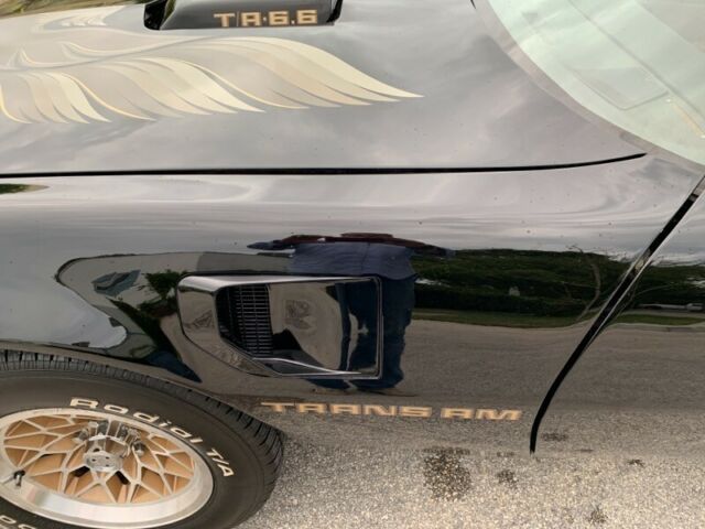 1981 Pontiac Firebird Trans Am - photo 11