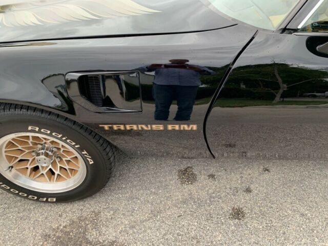 1981 Pontiac Firebird Trans Am - photo 12