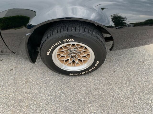 1981 Pontiac Firebird Trans Am - photo 13