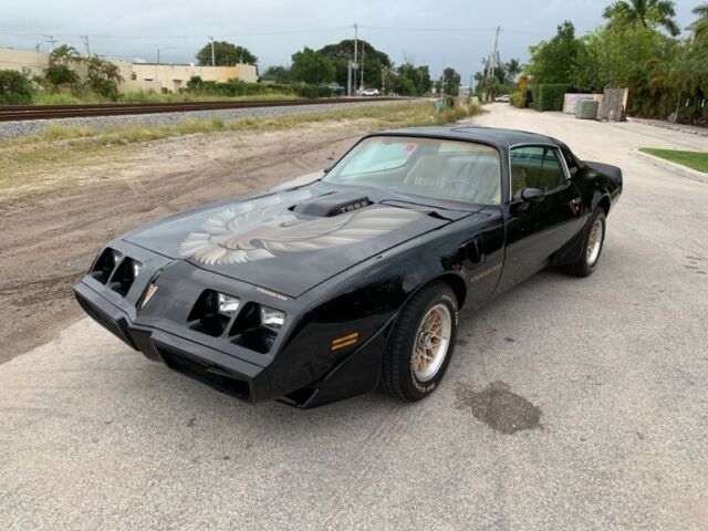 1981 Pontiac Firebird Trans Am - photo 2