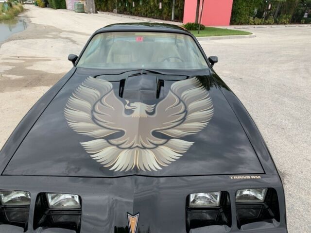 1981 Pontiac Firebird Trans Am - photo 4