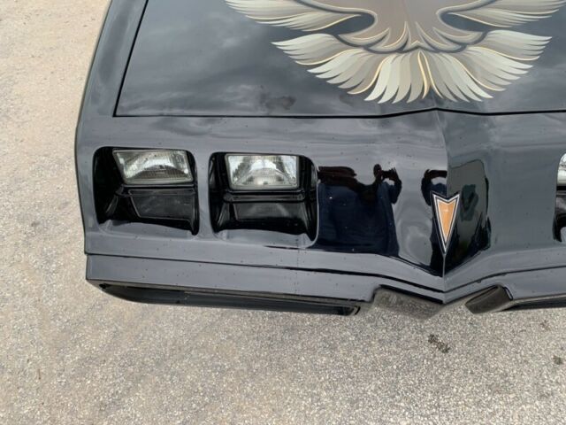 1981 Pontiac Firebird Trans Am - photo 7