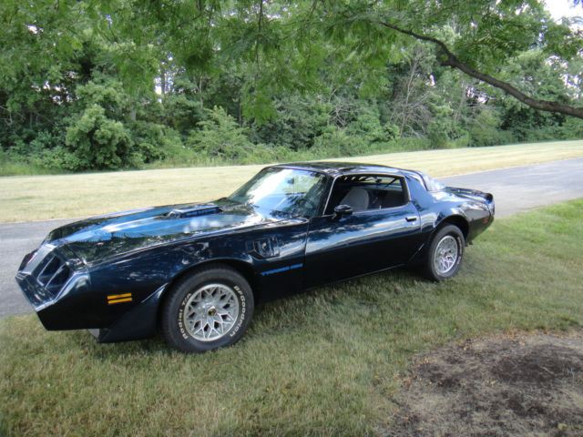 1981 Pontiac Firebird Trans Am Coupe 2-Door 5.0L 1981 Pontiac Firebird Trans Am Coupe 2-Door