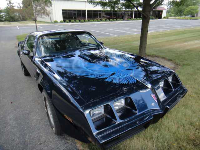 1981 Pontiac Firebird Trans Am Coupe 2-Door - photo 2