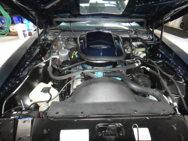 1981 Pontiac Firebird Trans Am Coupe 2-Door - photo 3