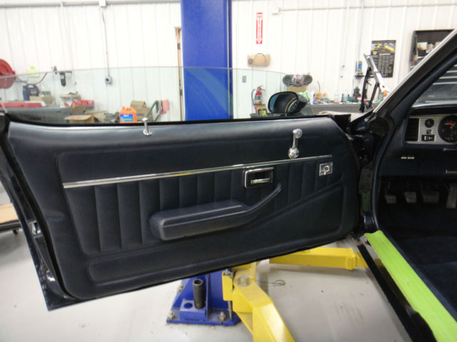 1981 Pontiac Firebird Trans Am Coupe 2-Door - photo 8
