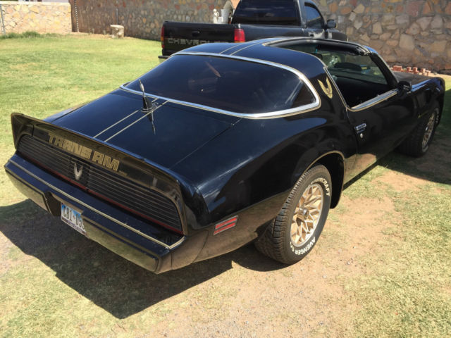 1981 Pontiac Firebird - photo 5