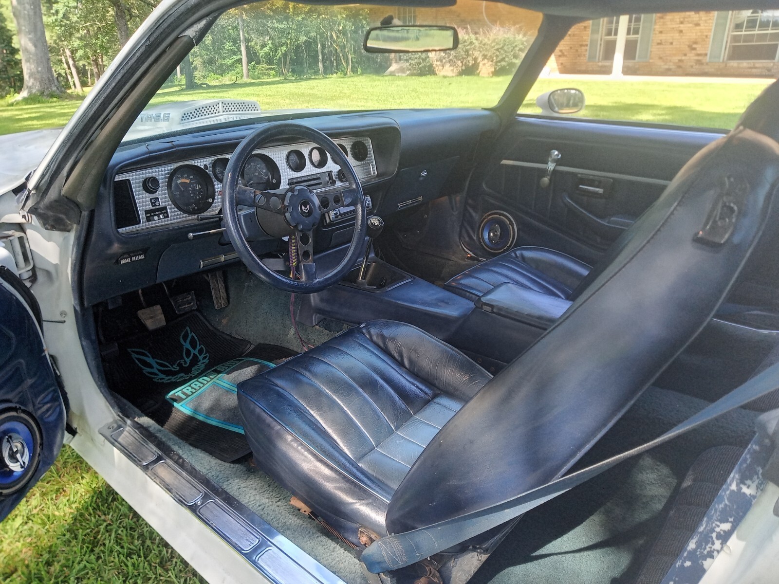 1981 Pontiac Firebird TRANS AM - photo 6