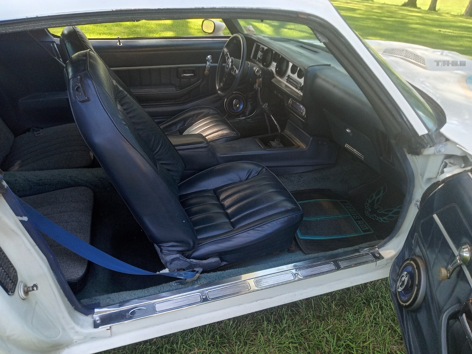 1981 Pontiac Firebird TRANS AM - photo 7