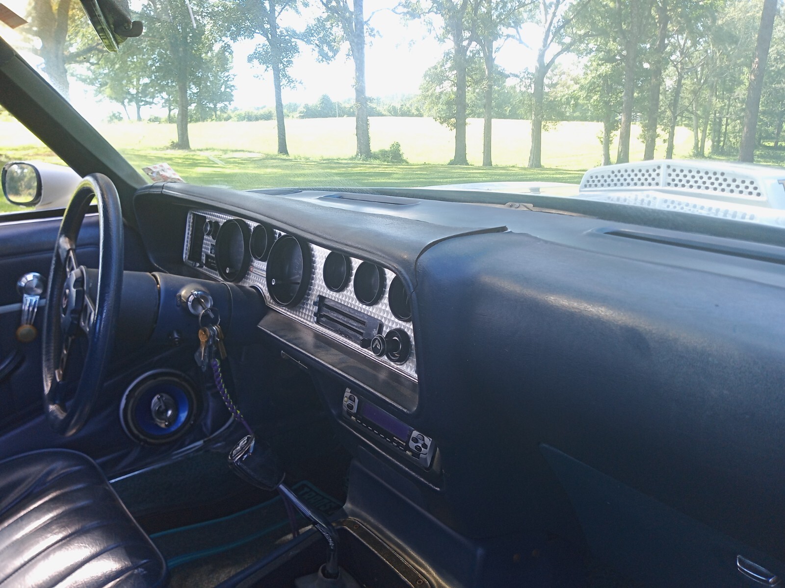 1981 Pontiac Firebird TRANS AM - photo 8