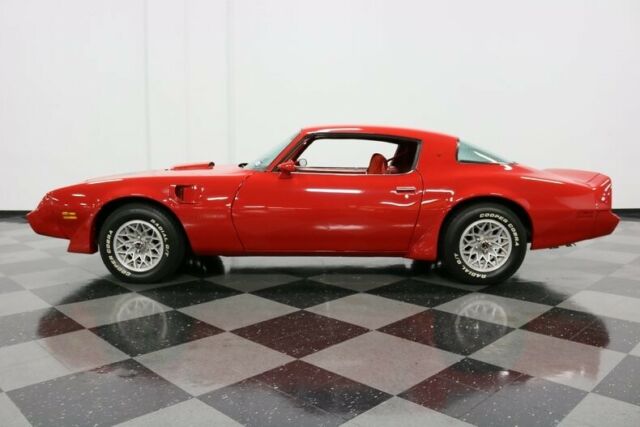 1981 Pontiac Firebird Trans Am - photo 3