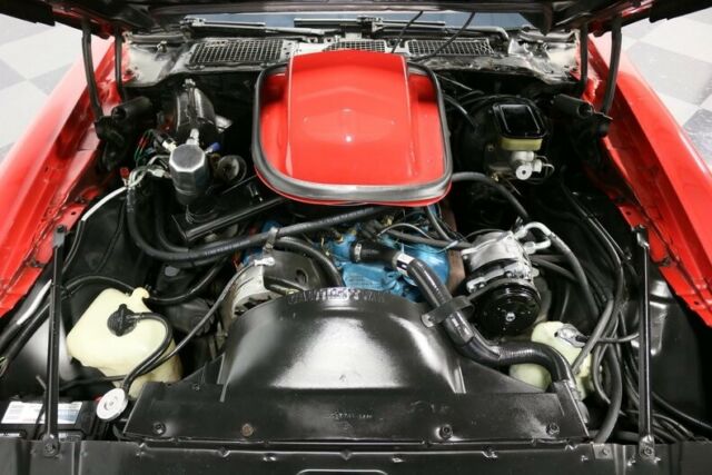 1981 Pontiac Firebird Trans Am - photo 4