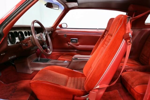 1981 Pontiac Firebird Trans Am - photo 5