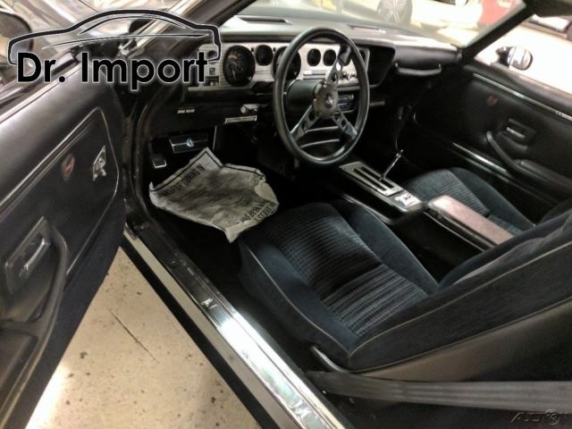 1981 Pontiac Firebird - photo 6