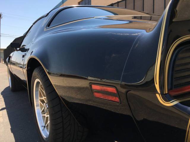 1981 Pontiac Trans Am - photo 9