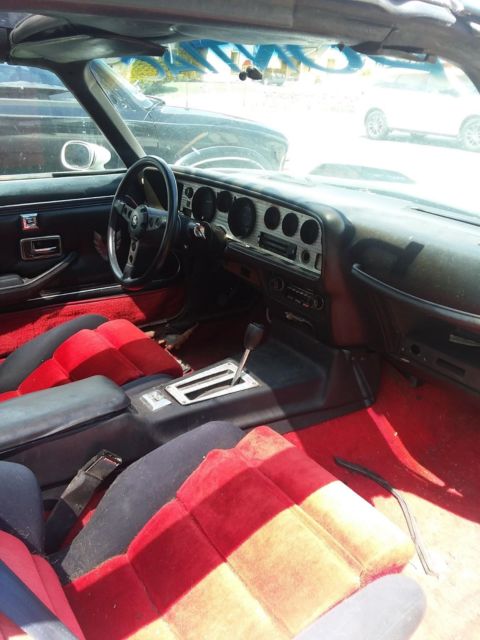 1981 Pontiac Trans Am Pace Car - photo 10
