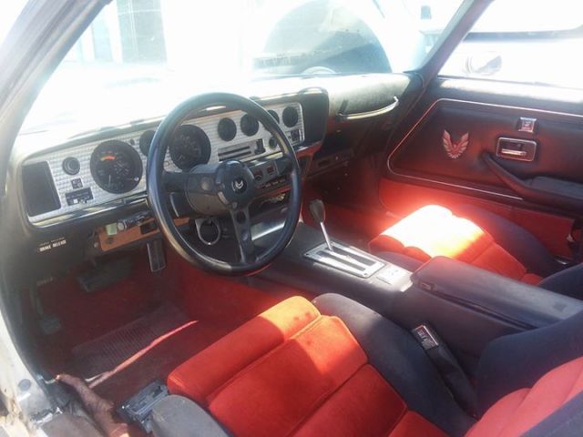 1981 Pontiac Trans Am Pace Car - photo 4
