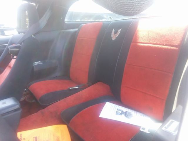 1981 Pontiac Trans Am Pace Car - photo 5