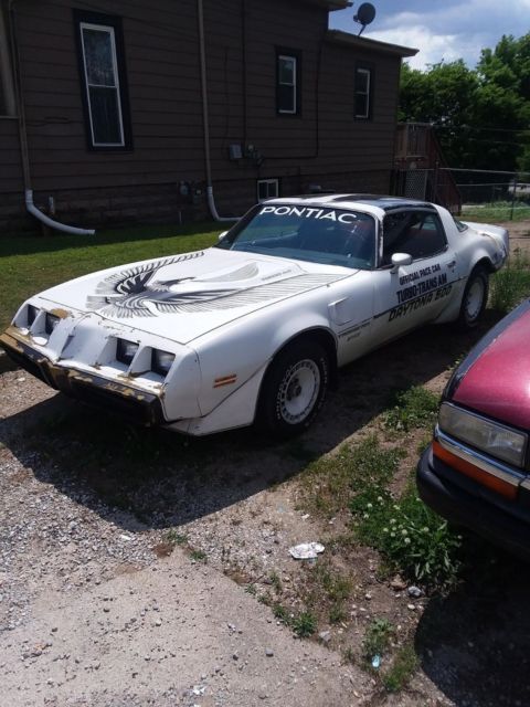 1981 Pontiac Trans Am Pace Car - photo 9