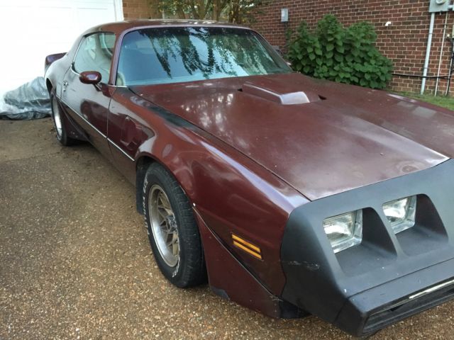 1981 Pontiac Firebird Trans Am LOW MILES 1981 Pontiac Firebird Trans Am