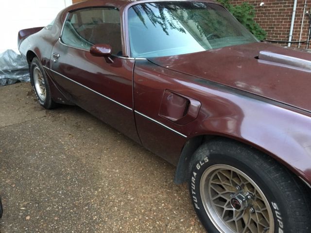 1981 Pontiac Firebird Trans Am - photo 10