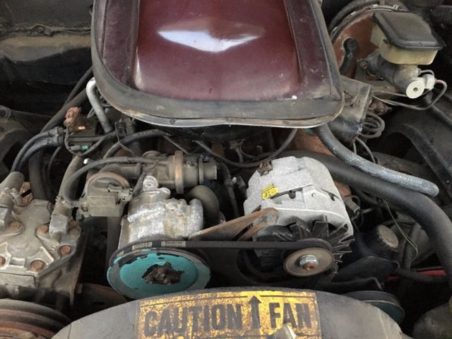 1981 Pontiac Firebird Trans Am - photo 11
