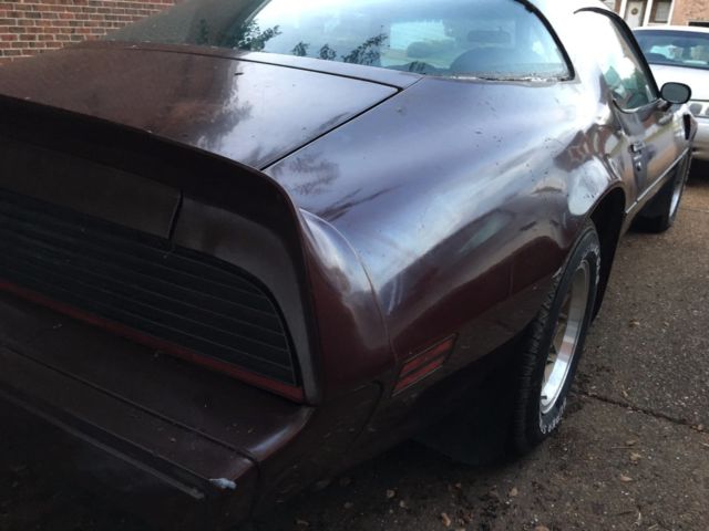 1981 Pontiac Firebird Trans Am - photo 3