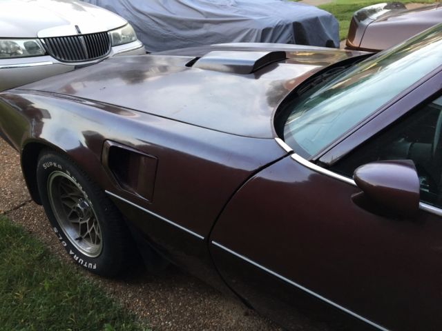 1981 Pontiac Firebird Trans Am - photo 5