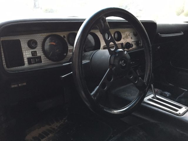 1981 Pontiac Firebird Trans Am - photo 7