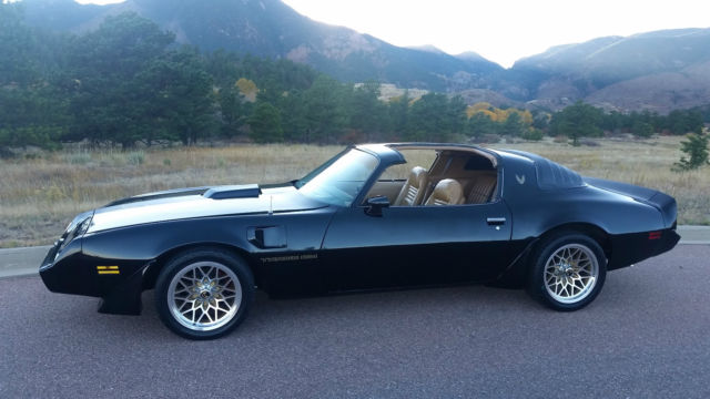 1981 Pontiac Firebird Trans Am Coupe 2-Door - photo 10