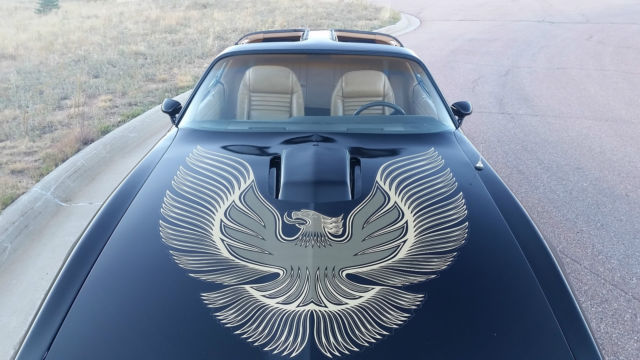 1981 Pontiac Firebird Trans Am Coupe 2-Door - photo 13