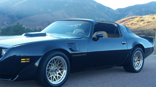 1981 Pontiac Firebird Trans Am Coupe 2-Door - photo 9