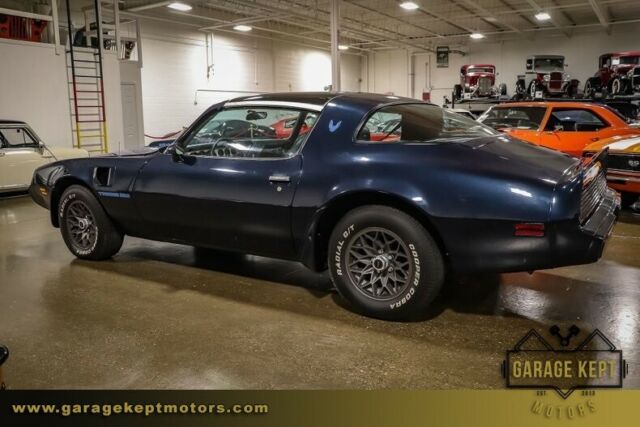 1981 Pontiac Firebird Trans Am - photo 11